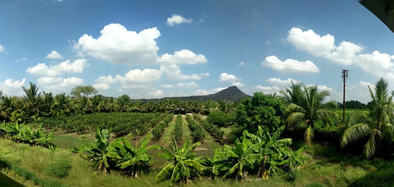 The Green Estate Resort 纳西克 外观 照片